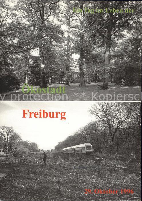 Freiburg Breisgau 1966 Naturdenkmal Konrad Guenther Park