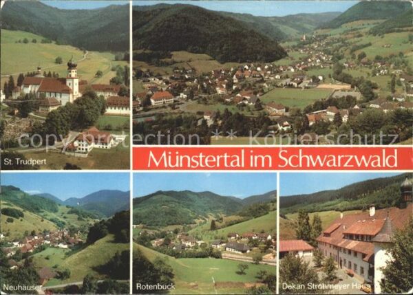 Muenstertal Schwarzwald St Trudpert Panorama Neuhäuser Rotenbuc