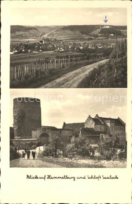 Hammelburg mit Schloss Saaleck