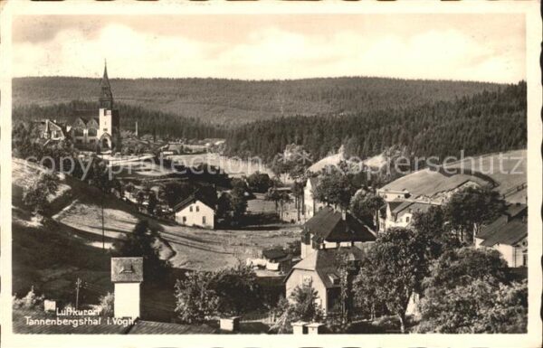 Tannenbergsthal Vogtland Ortsblick