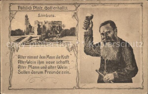 Limburg Lahn Schlossruine Alter Mann und alter Wein