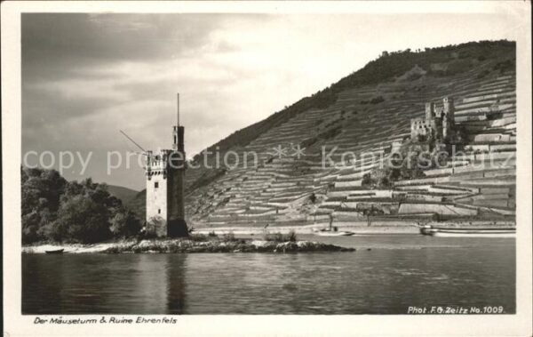 Foto Zeitz F.G. Nr. 1009 Mäuseturm Ruine Ehrenfels