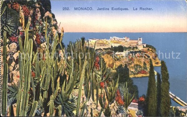 Kakteen Monaco Jardins Exotiques Le Rocher