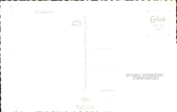 Hirsch Damschaufler – Bild 2