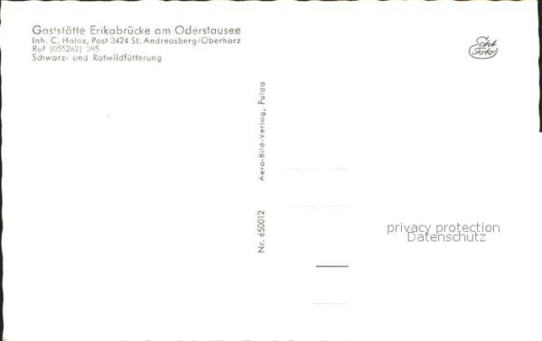 Hirsch Schwarz- und Rotwildfütterung – Bild 2