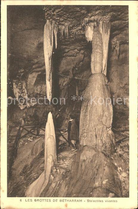 Hoehlen Caves Grottes Grottes de Betharram Stalactites vivant