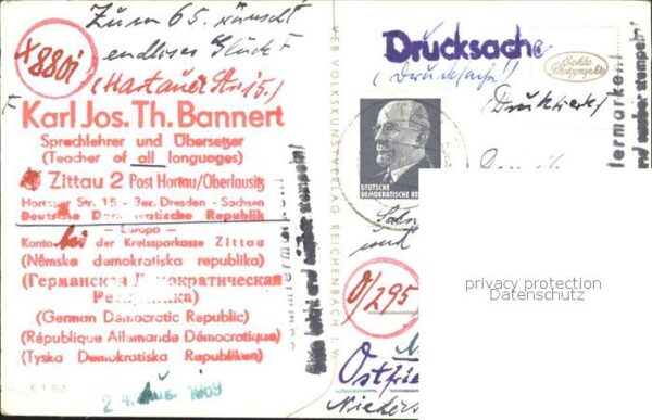 Reh Rehkitz – Bild 2