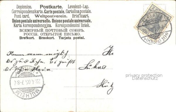 Blumen Nelken Trauben Litho – Bild 2