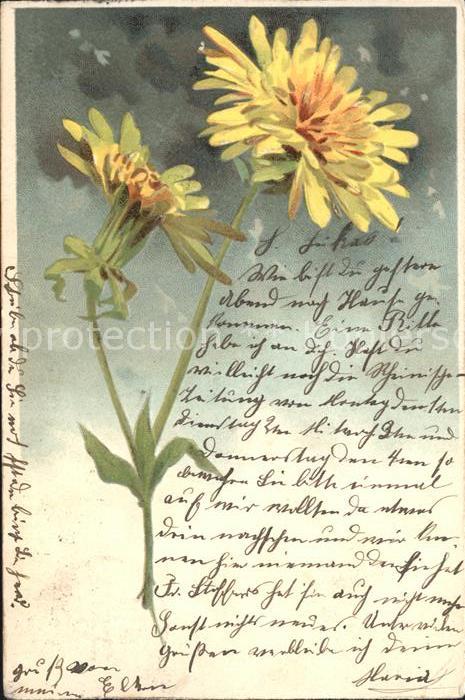 Blumen Litho