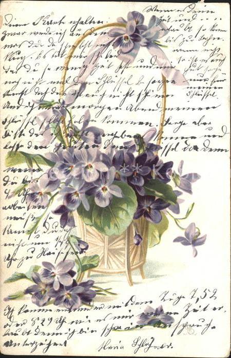 Blumen Veilchen Litho