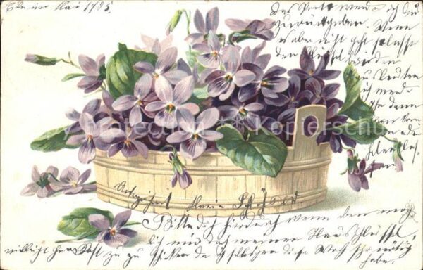 Blumen Veilchen Litho