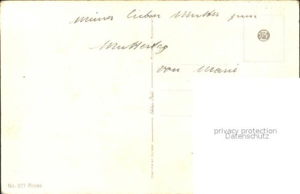 Rosen – Bild 2
