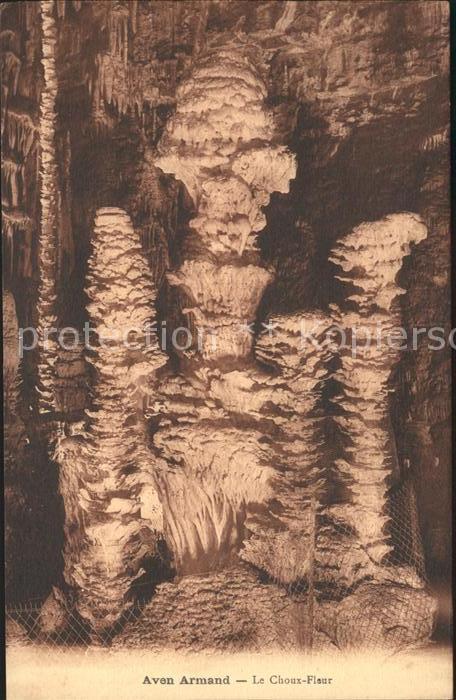 Hoehlen Caves Grottes Aven Armand Choux-Fleur