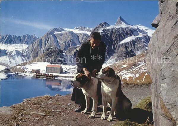 Bernhardiner Col du Grand Saint Bernard Mönch