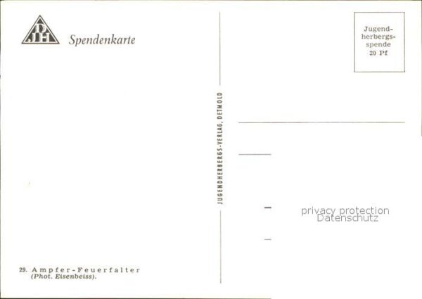 Schmetterlinge Ampfer-Feuerfalter Margerite Spendenkar – Bild 2