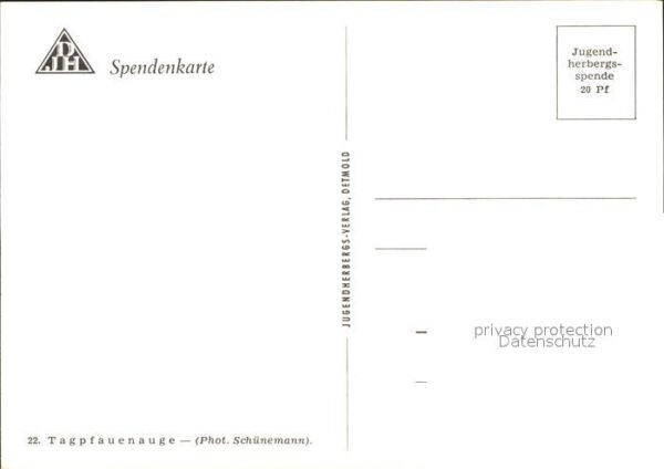 Schmetterlinge Tagpfauenauge Spendenkarte – Bild 2