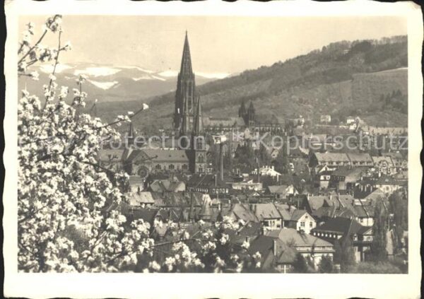 Foto Mueller Adolf Freiburg im Breisgau Münster