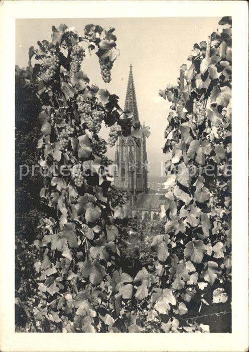 Foto Mueller Adolf Freiburg im Breisgau Münster