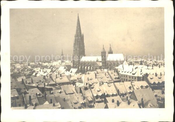Foto Mueller Adolf Freiburg im Breisgau Münster
