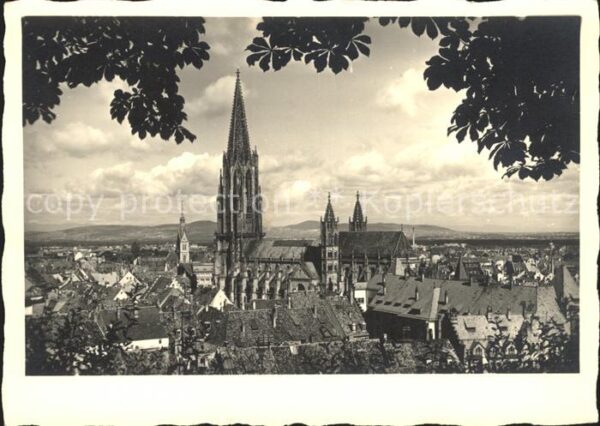 Foto Mueller Adolf Freiburg im Breisgau