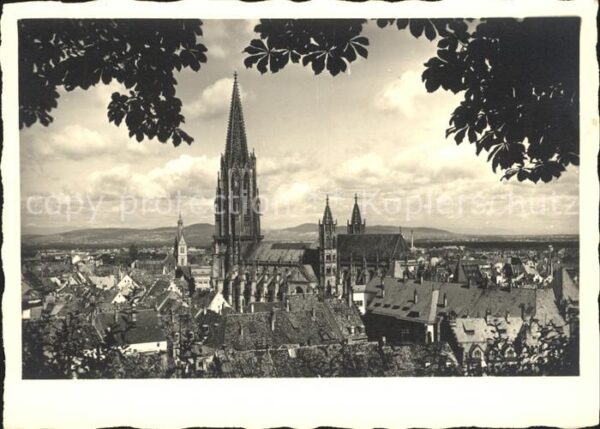 Foto Mueller Adolf Freiburg im Breisgau Münster