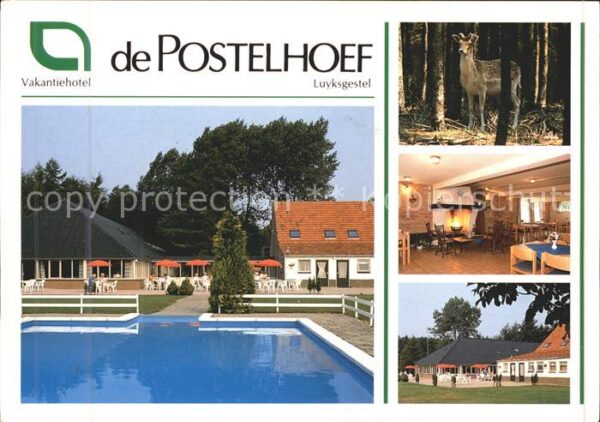 Luyksgestel Vakantiehotel de Postelhoef Swimming Po