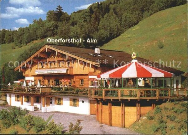 St Johann Pongau Salzburg Oberforsthof Alm Restaurant Sonnenterra