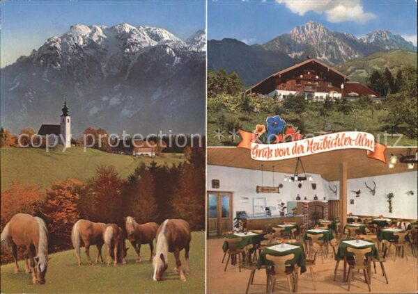 Neubichler Alm Piding Högl Untersberg St. Johannishögl Hochst