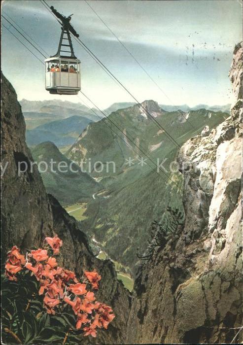 Ruhpolding Rauschbergbahn Alpenflora Alpenpanorama