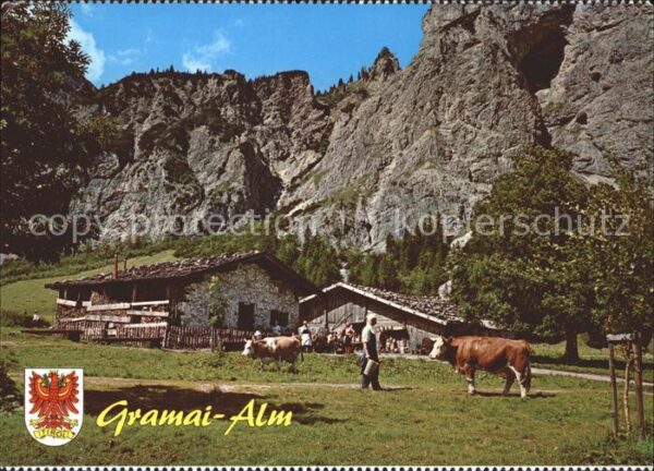 Pertisau Achensee Alpengasthof Gramaialm Kühe
