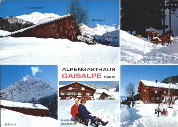 Reichenbach Oberstdorf Alpengasthaus Gaisalpe Rubihorn Rodelba
