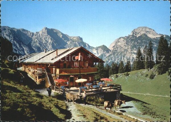 Pertisau Achensee Bärenbadalpe Ochsenkar Hahnenkamm Trist