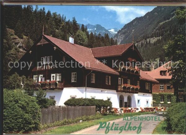 Malta Kaernten Alpenhotel Pflüglhof