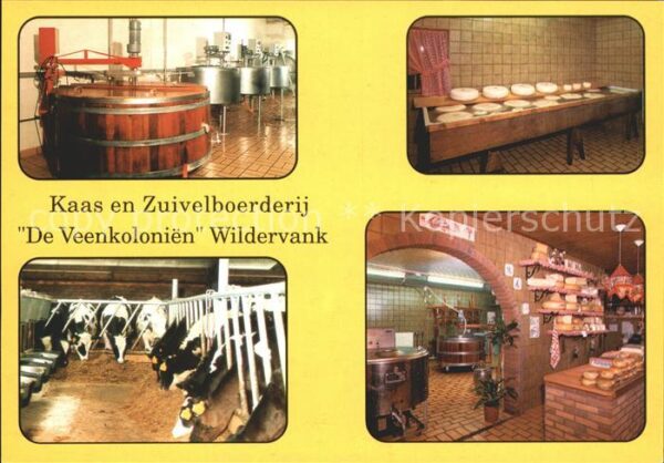 Wildervank Käserei