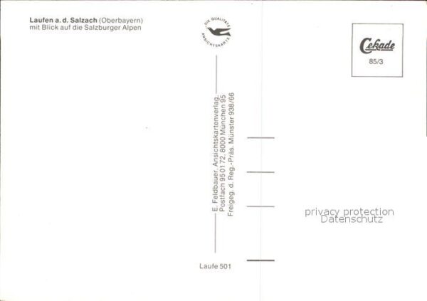 Laufen Salzach Fliegeraufnahme mit Alpen – Bild 2