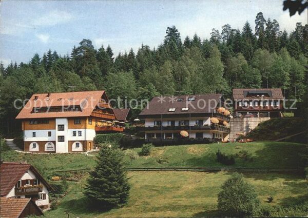 Baiersbronn Schwarzwald Forsthaus Auerhahn mit Gästehaus Katrin