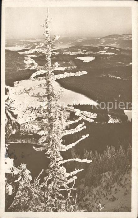 Feldberg Schwarzwald mit Feldsee