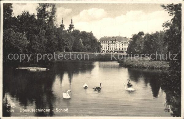 Donaueschingen Schloss See Schwäne