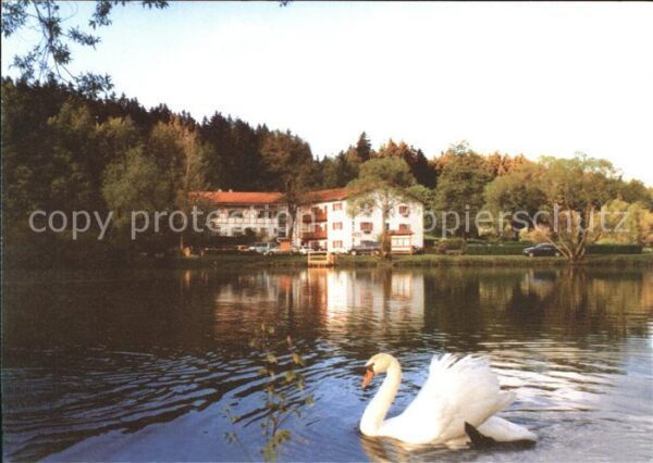 Hildburghausen Gasthaus Cafe am Schwanenteich Schwan