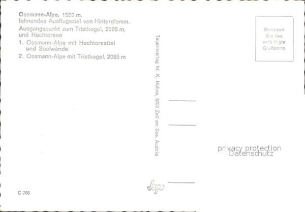 Hinterglemm Saalbach Ossmann Alpe – Bild 2