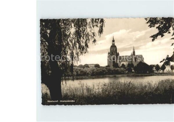 Stralsund Mecklenburg Vorpommern Marienkirche