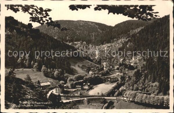 Triberg Schwarzwald Blick vom Hohnen