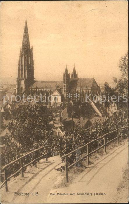 Freiburg Breisgau Münster vom Schlossberg gesehen