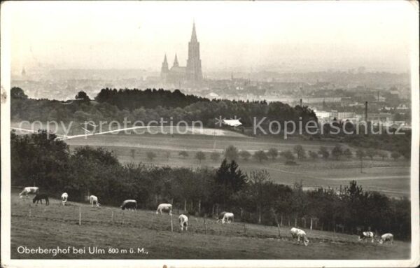 Ulm Donau Oberberghof