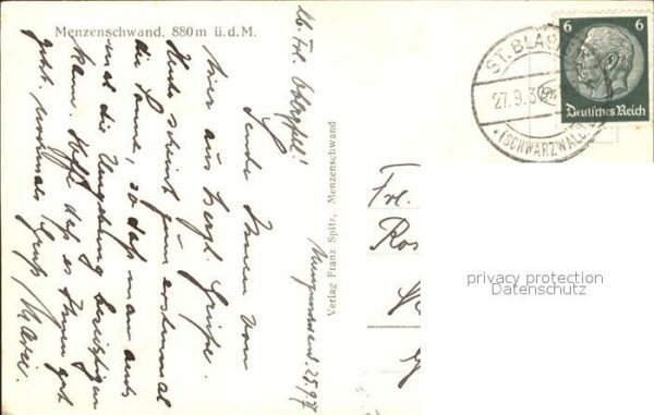 Menzenschwand Kühe – Bild 2
