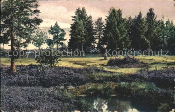 Hoechenschwand Hochmoor und Heide