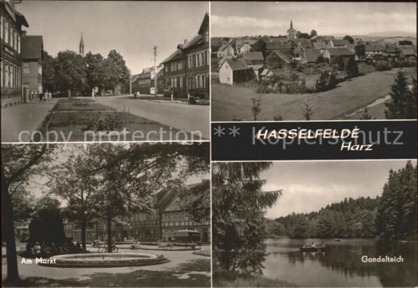 Hasselfelde Marktplatz Gondelteich
