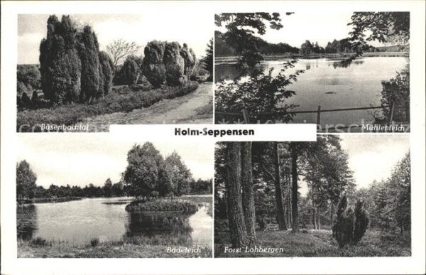 Holm-Seppensen Büsenbachtal Mühlenteich Forst Lohberge