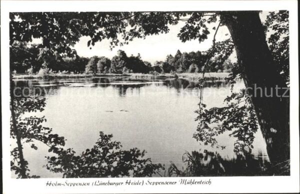 Holm-Seppensen Mühlenteich