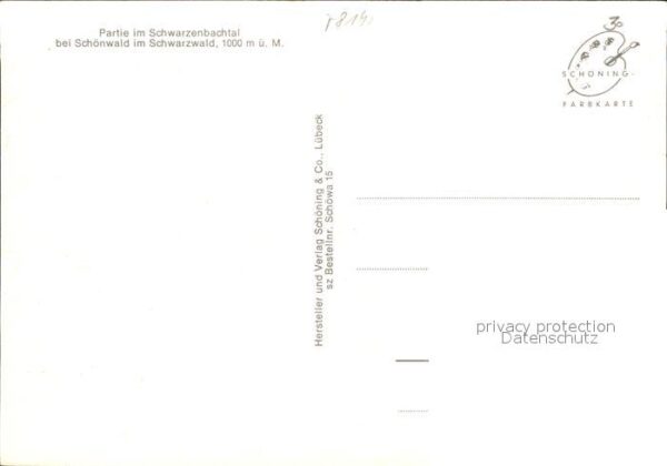 Schoenwald Schwarzwald Schwarzenbachtal Kühe – Bild 2